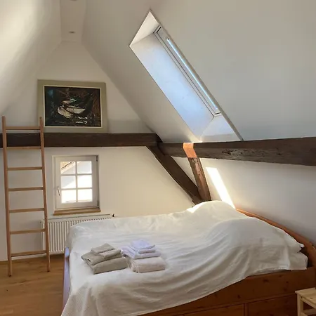 Kulturvogtei Freiburg-tiengen Bed & Breakfast *
